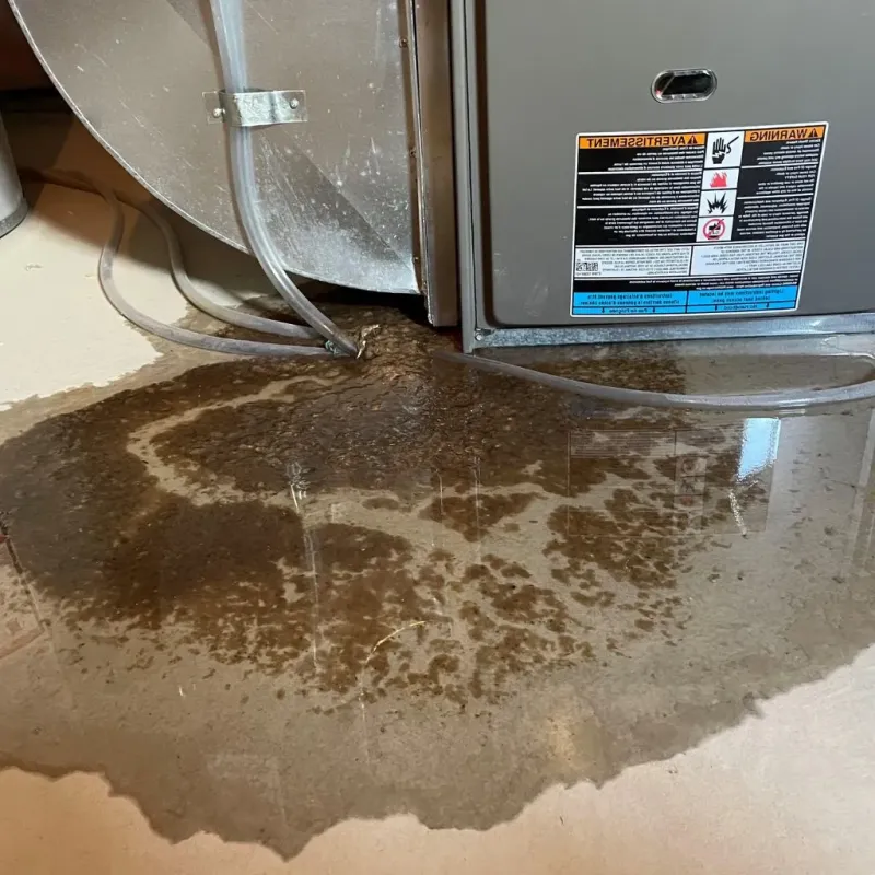 Pipe Burst and Leak Restoration in Laconia, NH